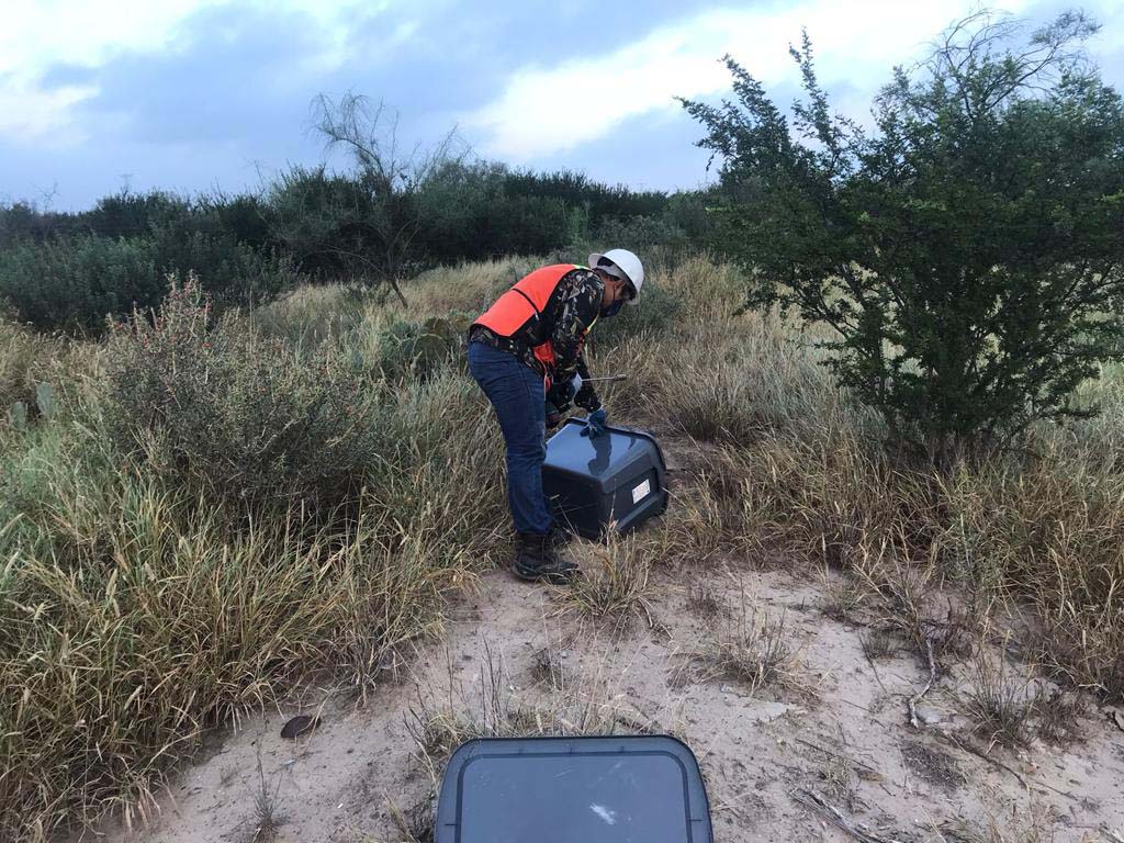 PRAMSEI: Proyectos ambientales en etapas constructivas y operativas (57)